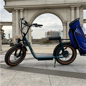 Golf  Electric scooter 20inch Fat Tire Electric Scooter
